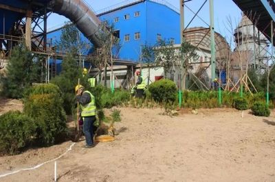 鋼城視角丨【鐵腕治霾】鋼鐵美麗花創(chuàng)建--綠色龍鋼雛形初綻 || 高標(biāo)準(zhǔn)做好屋頂綠化美化工作 打造俯視景觀&ldquo;綠色韓城&rdquo;_財經(jīng)_網(wǎng)