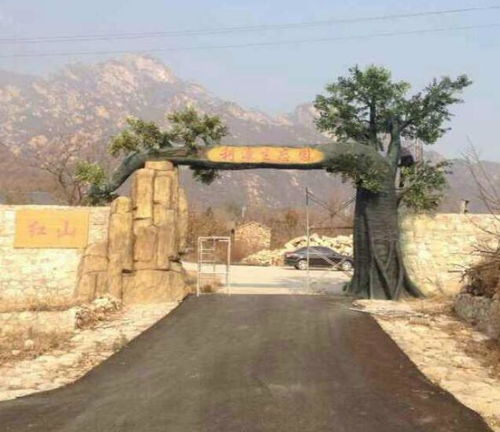 水泥塑樹廠家 景諾園林 在線咨詢 濮陽(yáng)水泥塑樹