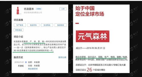 套利與降維的游戲 元氣森林的商業(yè)邏輯與融資咨詢服務